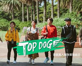 吃瓜平台《TOP DOG》免费在线观看