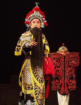 吃瓜正能量《袁崇焕2009》免费在线观看